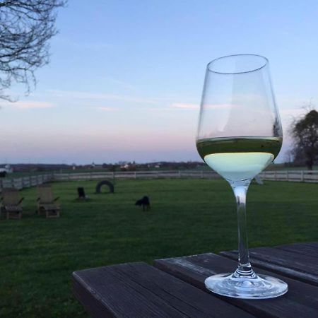 Ferienhaus S'Bunde Heisle Blaufelden Buitenkant foto